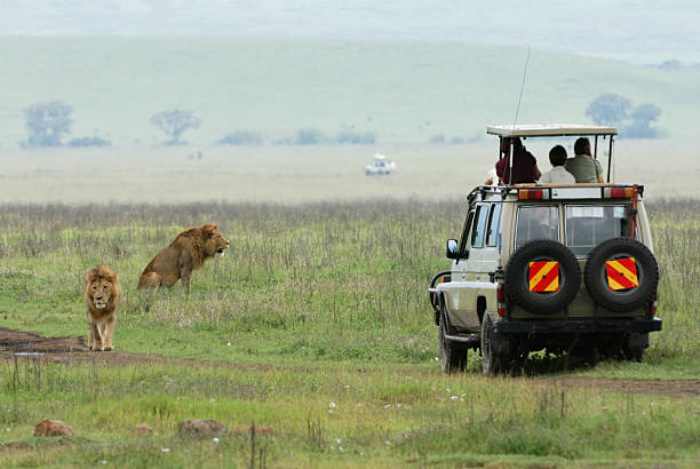 safari Tanzania